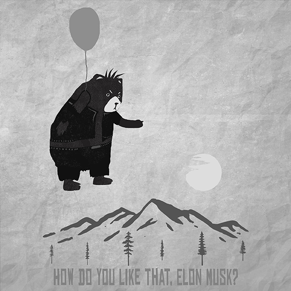 Походная футболка Чё скажешь Илон Маск? - топ 10 в коллекции кемпинг принтов