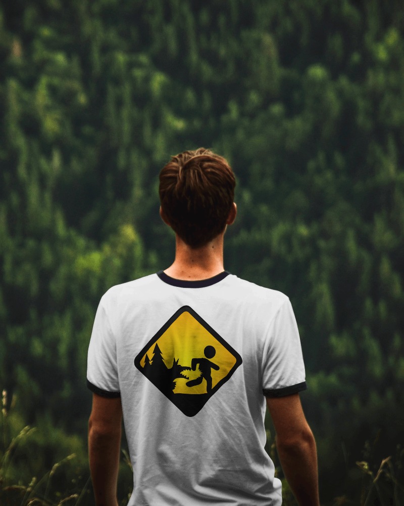 Футболка с принтом oneredfox