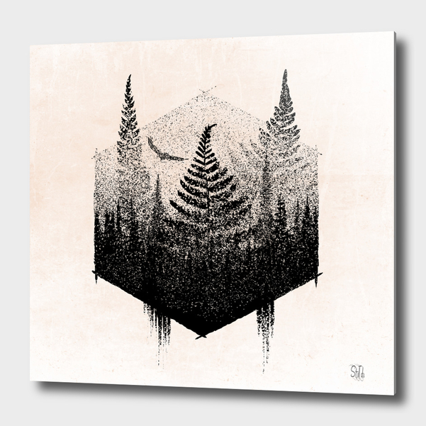 Коллекция футболок с принтами 