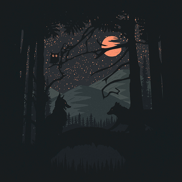 Походная футболка Ночное свидание - топ 9 в коллекции походных принтов